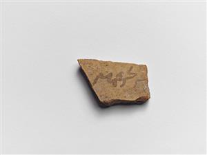 Ostracon Greek 
 Photographer:Meidad Suchowolski