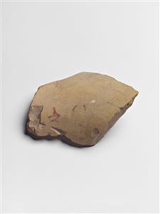 Ostracon Greek 
 Photographer:Meidad Suchowolski