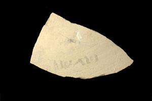 Ostracon Aramaic 
 Photographer:Yolovitch Yael