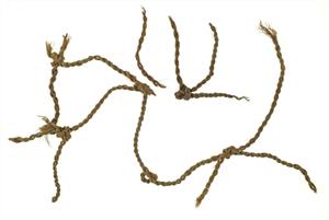 רשת (שימוש לא ידוע)
צלם:עמית קלרה