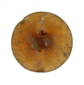 חותם טביעה (Stamp Seal) מעוטר בחריתה
צלם:סלצברגר מריאנה