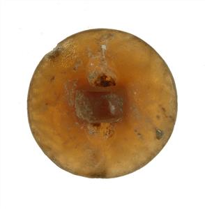 חותם טביעה (Stamp Seal) מעוטר בחריתה 
 צלם:סלצברגר מריאנה