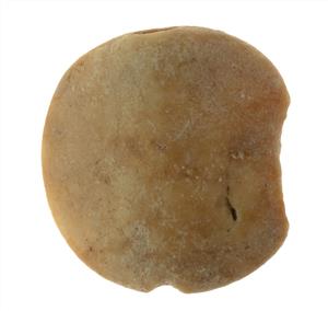 חותם טביעה (Stamp Seal) מעוטר בחריתה
צלם:עמית קלרה