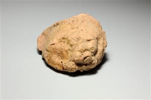 שבר ריתון דמוי בעל חיים
צלם:יולוביץ יעל