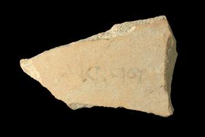 Ostracon Greek 
 Photographer:Yolovitch Yael