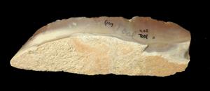 Knife (flint)
Photographer:Yolovitch Yael