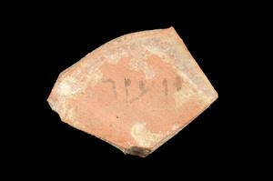 אוסטרקון עברי
צלם:יולוביץ יעל