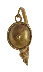 Earring
Photographer:Mariana Salzberger
