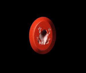 Gem Zoomorphic
Photographer:Yolovitch Yael