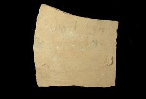 Ostracon Aramaic 
 Photographer:Yolovitch Yael