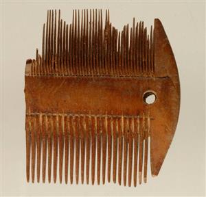 Comb  
 Photographer:Clara Amit