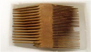 Comb  
 Photographer:Clara Amit