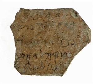 אוסטרקון ארמי
צלם:מריאנה סלצברגר