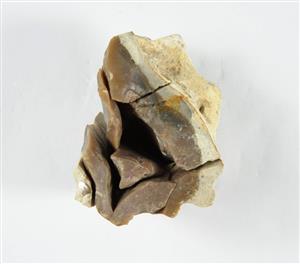 Refitted core (flint)
Photographer:Yolovitch Yael