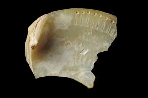 Fragment Red Sea Shell Incised  
 Photographer:Yolovitch Yael