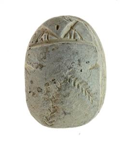 חרפושית
צלם:מריאנה סלצברגר