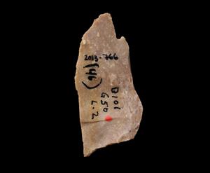 Double Dihedral Burin
Photographer:Yolovitch Yael