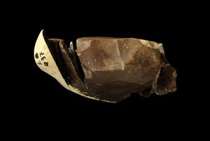 Refitted core (flint)
Photographer:Yolovitch Yael