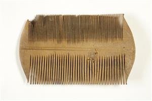 Comb
Photographer:Yolovitch Yael