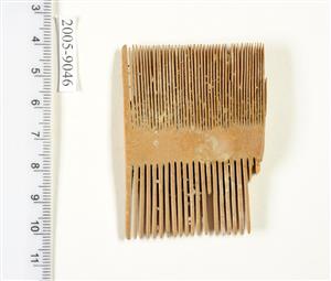 Comb
Photographer:Yolovitch Yael