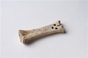 Worked Bone Perforated 
 Photographer:Meidad Suchowolski