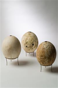Ostrich Egg  
 Photographer:Meidad Suchowolski
