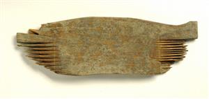 Comb  
 Photographer:Clara Amit