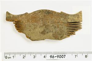 Comb  
 Photographer:Clara Amit