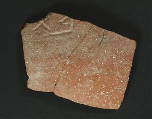 Sherd Inscribed 
 Photographer:Clara Amit