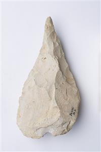 אבן יד מיקוקית  
 צלם:מידד סוכובולסקי
