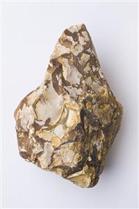 Handaxe  
 Photographer:Meidad Suchowolski