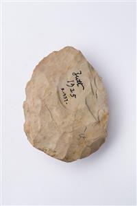 אבן יד דיסקואידית  
 צלם:מידד סוכובולסקי