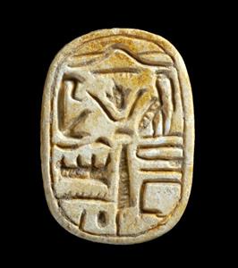 Plaque Seal Bifacial 
 Photographer:Clara Amit