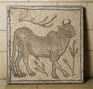 Fragment Mosaic Floor Decorated with animal figure  
 Photographer:Meidad Suchowolski