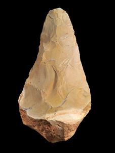 Handaxe  
 Photographer:Yolovitch Yael