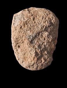 אבן מחורצת 
 צלם:יולוביץ יעל