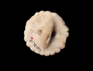 חותם טביעה (Stamp Seal) כפתור (שימוש לא ידוע)
צלם:יולוביץ יעל