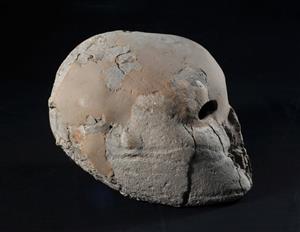 Plastered Human Skull  
 Photographer:Yolovitch Yael