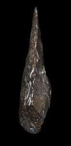 Micoquian Hand Axe  
 Photographer:Yolovitch Yael