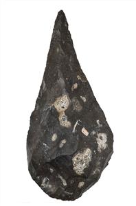 Micoquian Hand Axe  
 Photographer:Yolovitch Yael