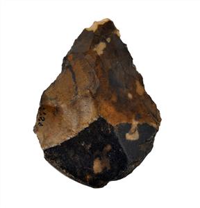 Handaxe Small-sized 
 Photographer:Yolovitch Yael