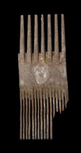 Fragment Comb
Photographer:Clara Amit