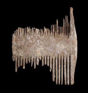 Fragment Comb
Photographer:Clara Amit