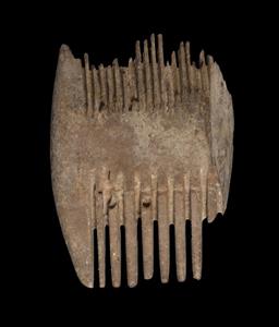 Fragment Comb
Photographer:Clara Amit