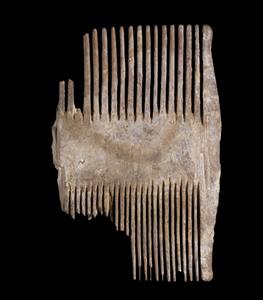 Fragment Comb   
 Photographer:Clara Amit