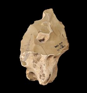 Handaxe
Photographer:Yolovitch Yael