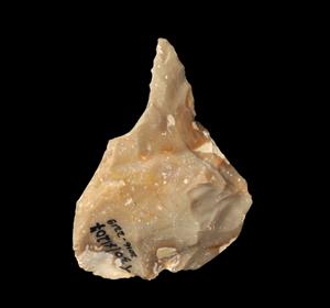 Flint Tool Bifacial
Photographer:Yolovitch Yael