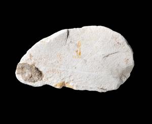 לוחית (שימוש לא ידוע) מעוטרת בחריתה
צלם:יולוביץ יעל