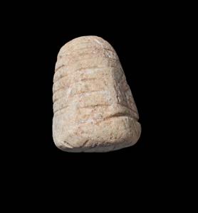 עלי מעוטר בחריתה
צלם:יולוביץ יעל