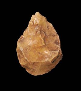 Handaxe
 Photographer:Yolovitch Yael